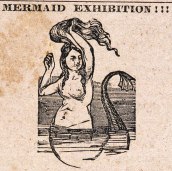 mermaidexhibit.jpg