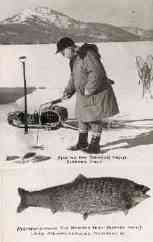 fishing for fur bearing trout